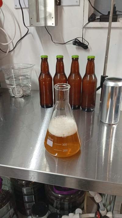 Pruebas de laboratorio en cervecería Patacona